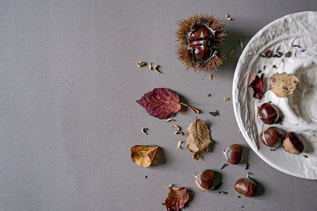 Folhas de castanhas e prato em fundo cinza