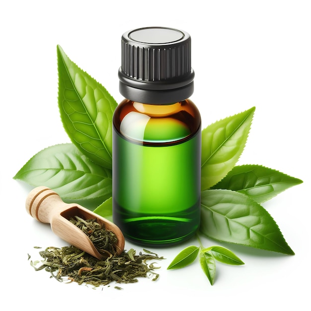 Folhas de chá verde e garrafa com óleo essencial em fundo branco