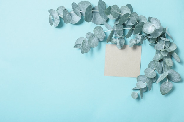 Folhas de eucalipto e cartão do ofício em fundo de papel azul