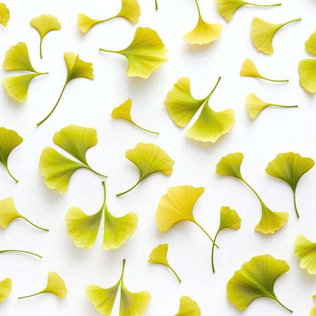 Folhas de ginkgo biloba em um fundo branco Generative Ai