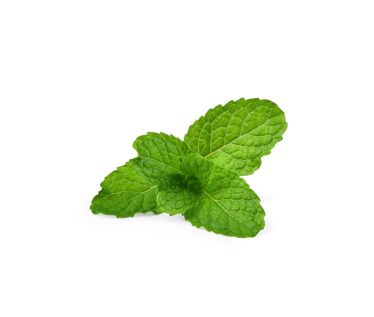 Foto folhas de hortelã fresca isoladas no fundo branco. menta, hortelã-pimenta close up