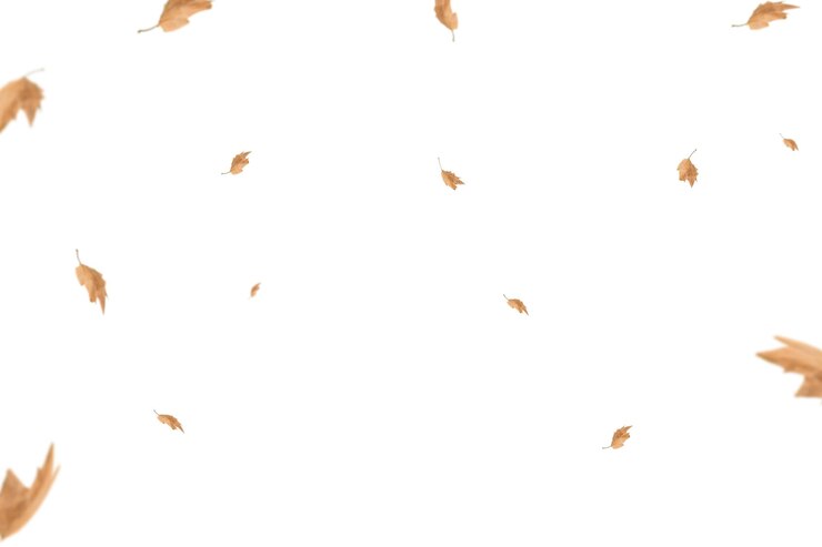 Foto folhas de laranja de outono caindo isoladas em fundo branco