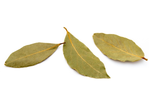 Folhas de louro aromáticas em branco.