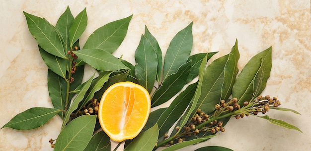 Folhas de louro com sementes e laranja amarela