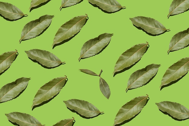 folhas de louro secas em fundo verde