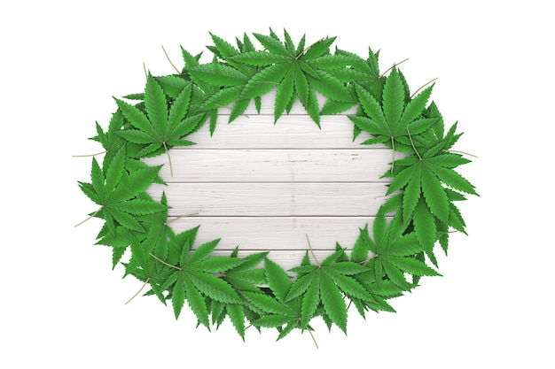 Folhas de maconha medicinal ou cânhamo de cannabis ao redor da placa de madeira branca com espaço livre para seu projeto em um fundo branco. renderização 3d