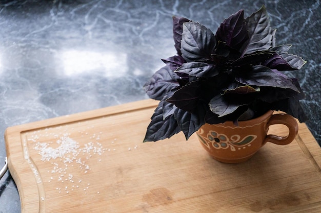 Folhas de manjericão roxo no copo vintage em cima da mesa na cozinha.