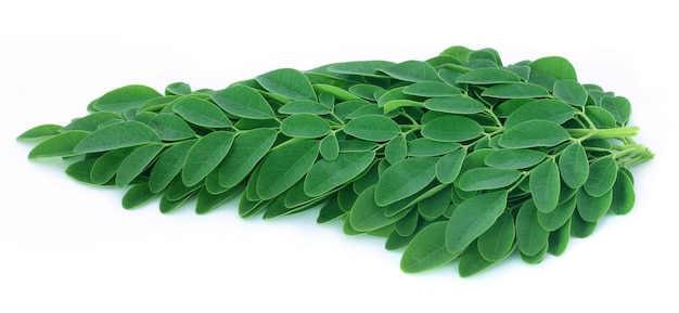 Folhas de moringa comestíveis sobre fundo branco