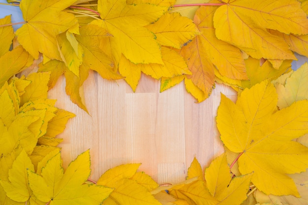 Folhas de outono amarelas em fundo laminado de madeira