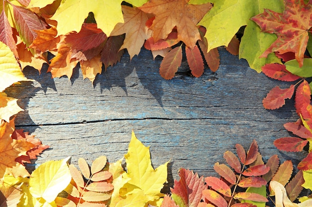 Folhas de outono coloridas em superfície de madeira