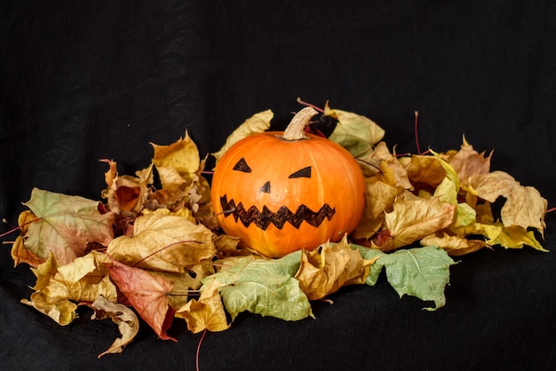 Folhas de outono de abóbora de hallowe'en em um fundo preto