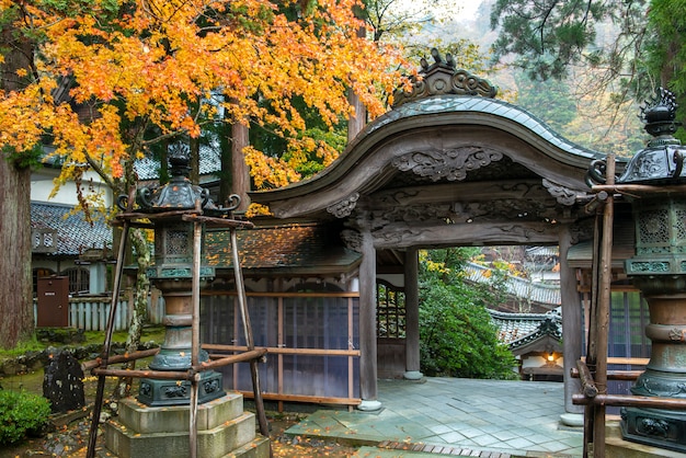 Folhas de outono de bordo japonês (Momiji) no fundo do templo