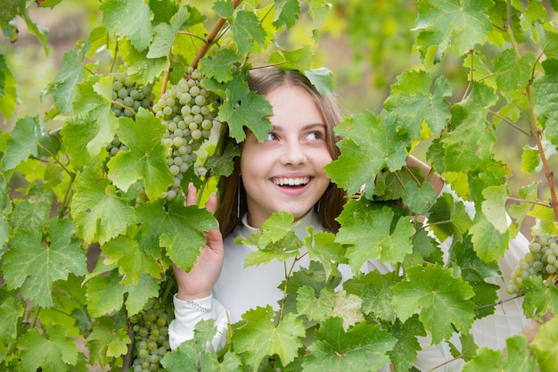 Folhas de outono de uva menina feliz com uvas ao ar livre criança com uvas no fundo da videira