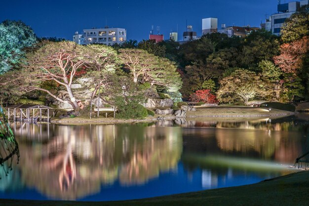 Foto folhas de outono do jardim daimyo