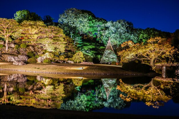 Foto folhas de outono do jardim daimyo