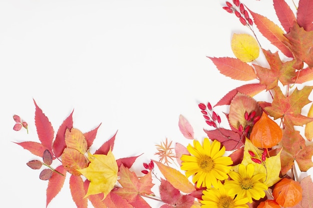 Foto folhas de outono e flores em fundo branco