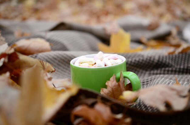 Folhas de outono e xícara de café fumegante quente encontra-se no xadrez xadrez ao ar livre
