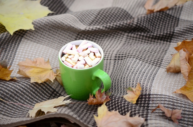 Folhas de outono e xícara de café fumegante quente encontra-se no xadrez xadrez ao ar livre