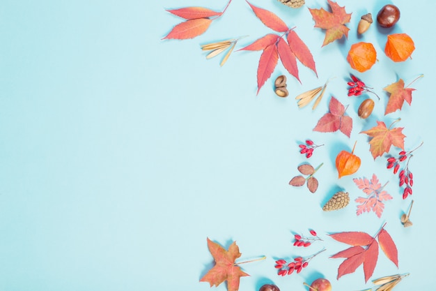 Folhas de outono em fundo de papel azul