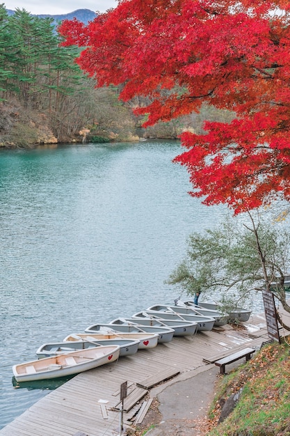 Foto folhas de outono em goshikinuma (cinco lagos vulcânicos ou cinco lagos coloridos), um destino popular em bandai highlands no outono na prefeitura de fukushima, japão