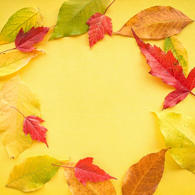 Folhas de outono em um quadro de fundo de papel amarelo de foto de alta qualidade de folhas