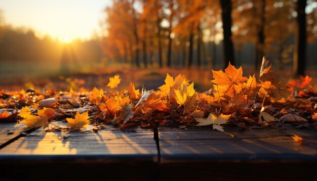 Folhas de outono em uma mesa de madeira na floresta