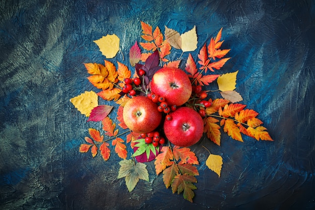 Folhas de outono, maçãs e bagas em um escuro