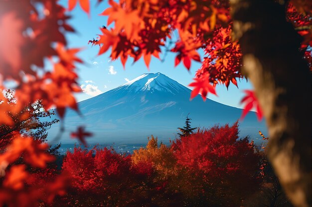 Folhas de outono no Monte Fuji