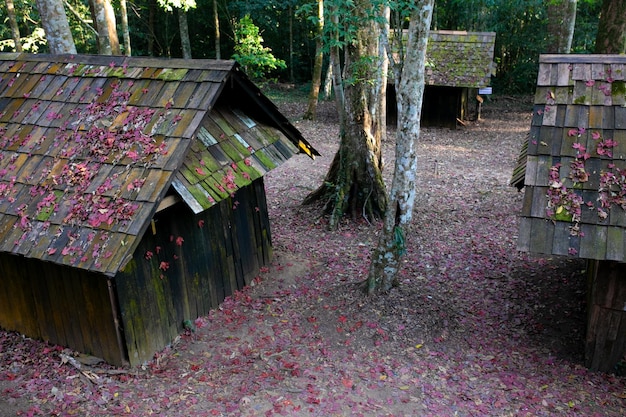 Foto folhas de outono no telhado de uma velha casa de madeira na floresta