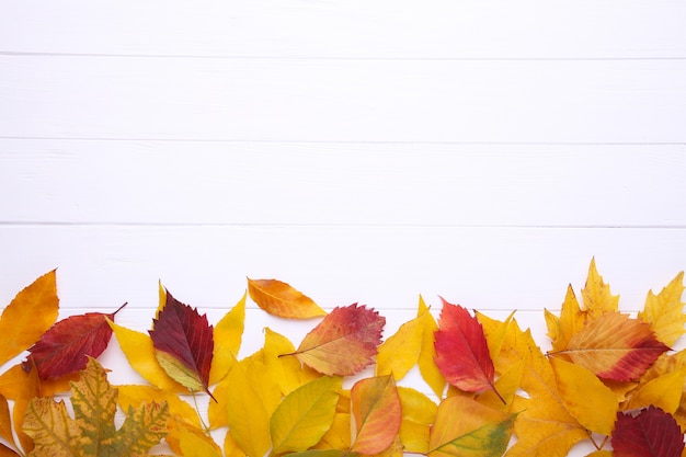 Foto folhas de outono vermelhas e laranja na mesa branca