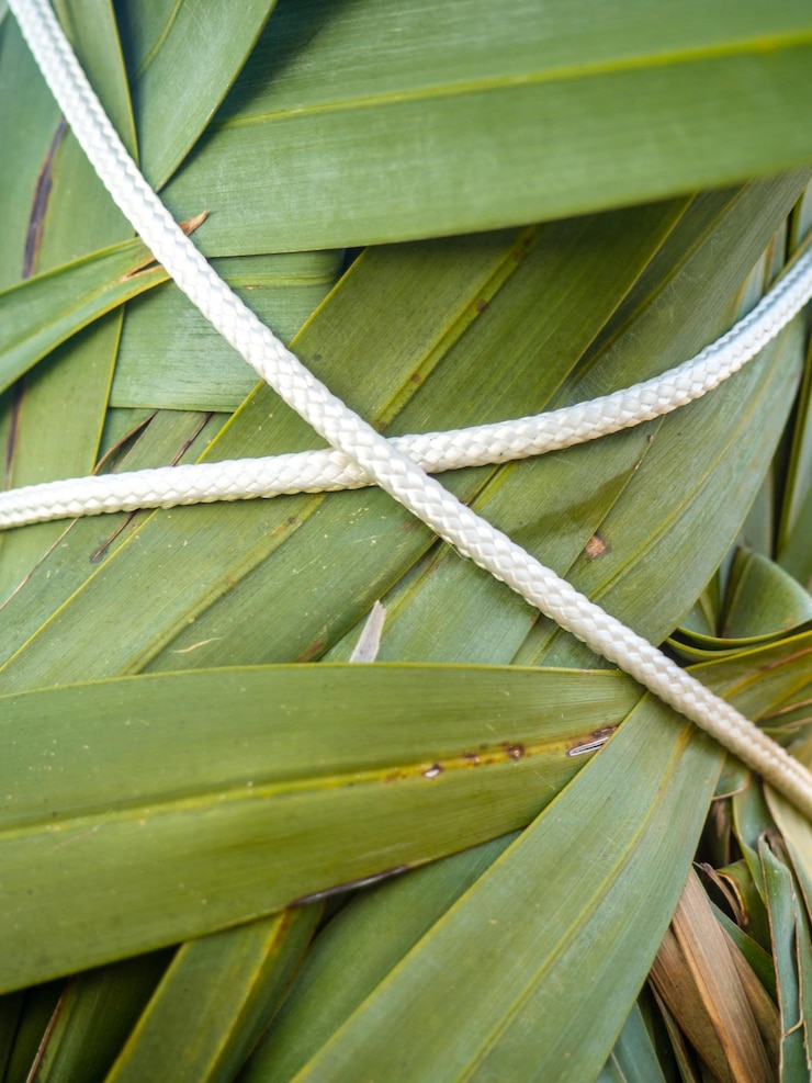 Foto folhas de palmeira amarradas com cordas jardinagem segurança da planta do vento