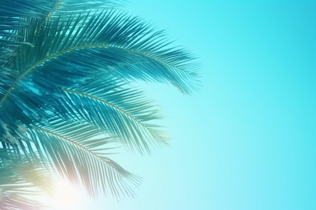 Folhas de palmeira em um fundo azul