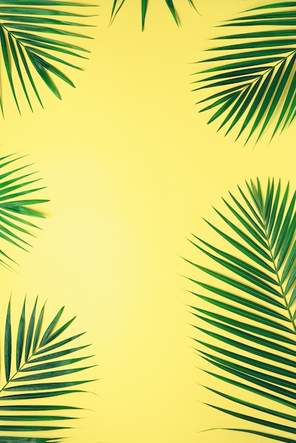 Folhas de palmeira tropicais no fundo amarelo pastel. conceito de verão mínima. apartamento criativo leigos com espaço de cópia.