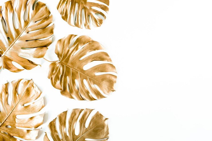 Folhas de palmeira tropical douradas Monstera em fundo branco Vista superior plana conceito minimalista