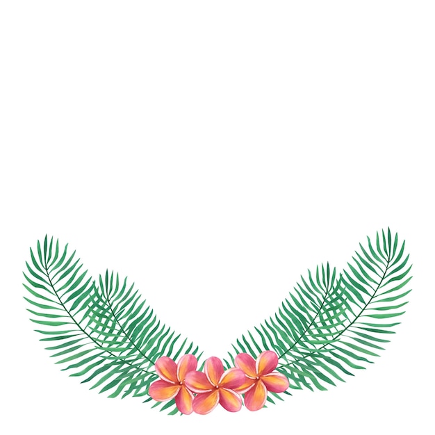 Folhas de palmeira tropical e flores de plumeria frangipani Ilustração em aquarela desenhada à mão isolada