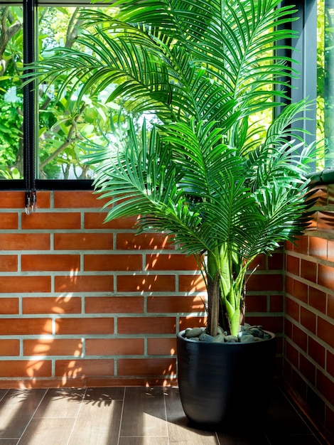 Folhas de palmeira tropical verde em vaso de cerâmica preta no piso de parquet no canto da sala no fundo da parede de tijolo com janela de vidro e luz solar do lado de fora, estilo vertical.