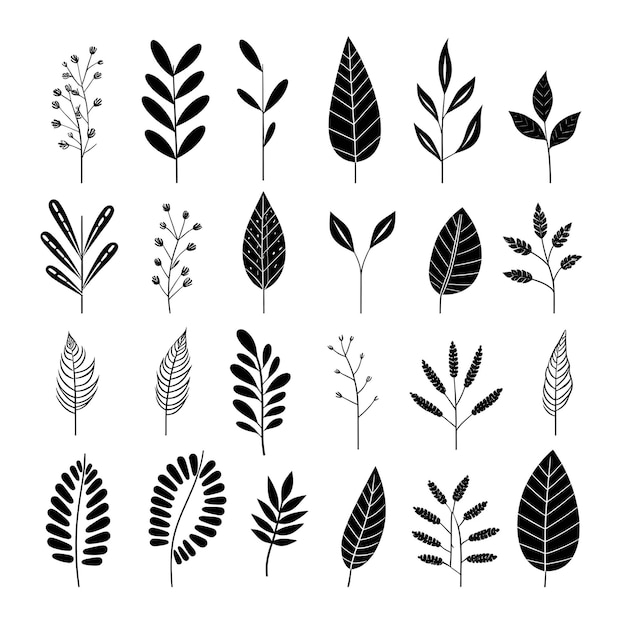 Foto folhas de plantas desenhadas à mão em preto e branco