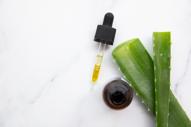 Folhas de plantas naturais de aloe vera com um frasco conta-gotas cosmético