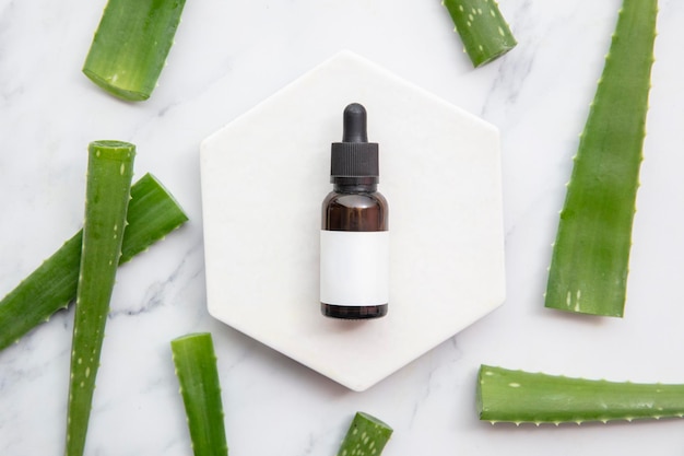 Folhas de plantas naturais de aloe vera com um frasco conta-gotas cosmético