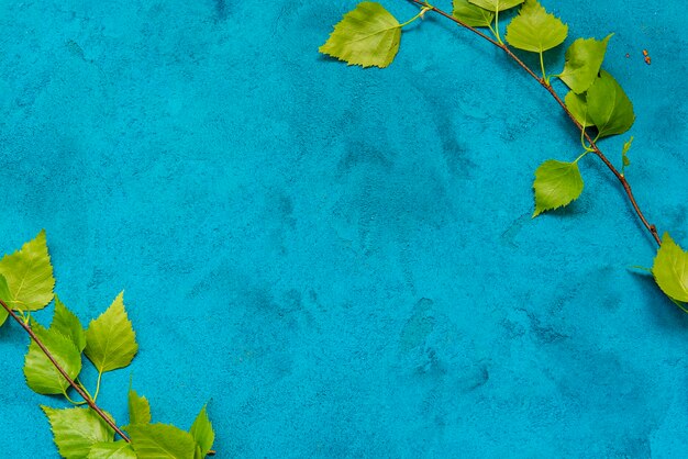 Folhas de primavera de bétula verde no fundo azul escuro grunge com espaço de cópia Conceito sazonal e de saudação