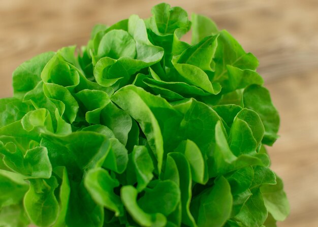 Folhas de salada fresca em um fundo de madeira