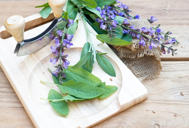 Folhas de sálvia fresca e flores na tábua de madeira