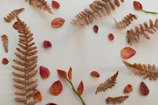 Folhas de samambaia secas e folhas de flores vermelhas sobre fundo claro com espaço para texto Fundo de outono