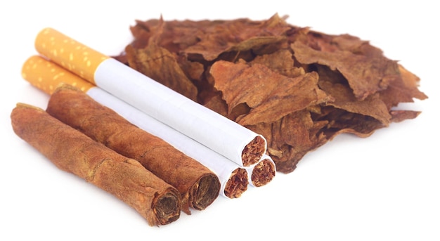 Folhas de tabaco secas com cigarro sobre fundo branco