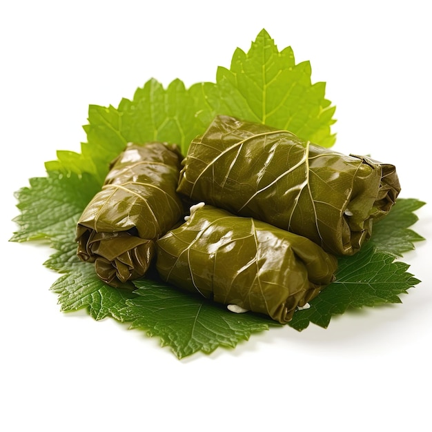 folhas de uva recheadas de dolma em um fundo branco