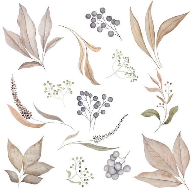 Folhas e bagas delicadas e românticas pintadas em aquarela Clipart floral pastel perfeito para cartão postal de casamento fazendo projeto Diy Closeup fundo branco