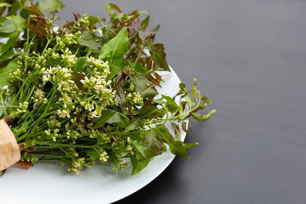 Folhas e flores de Neem em fundo escuro.