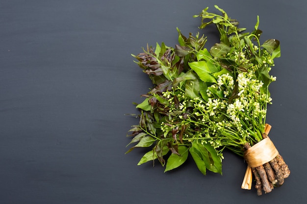 Folhas e flores de Neem em fundo escuro.