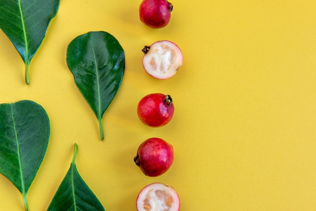 Folhas e frutas Cattley goiaba frutas vermelhas Psidium Cattleyanum em fundo amarelo