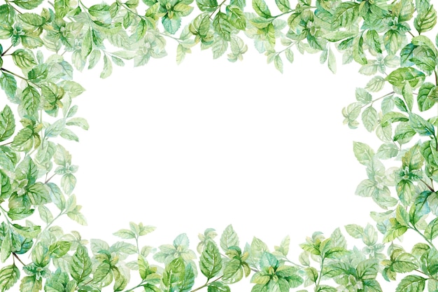 Folhas e galhos frescos de hortelã aquarela modelo de ilustração desenhado à mão ervas culinárias aromáticas